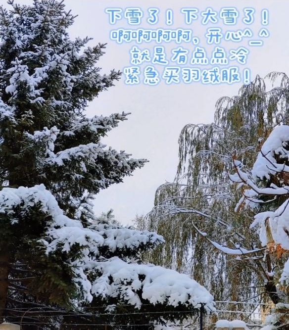 k1体育赛事快讯
