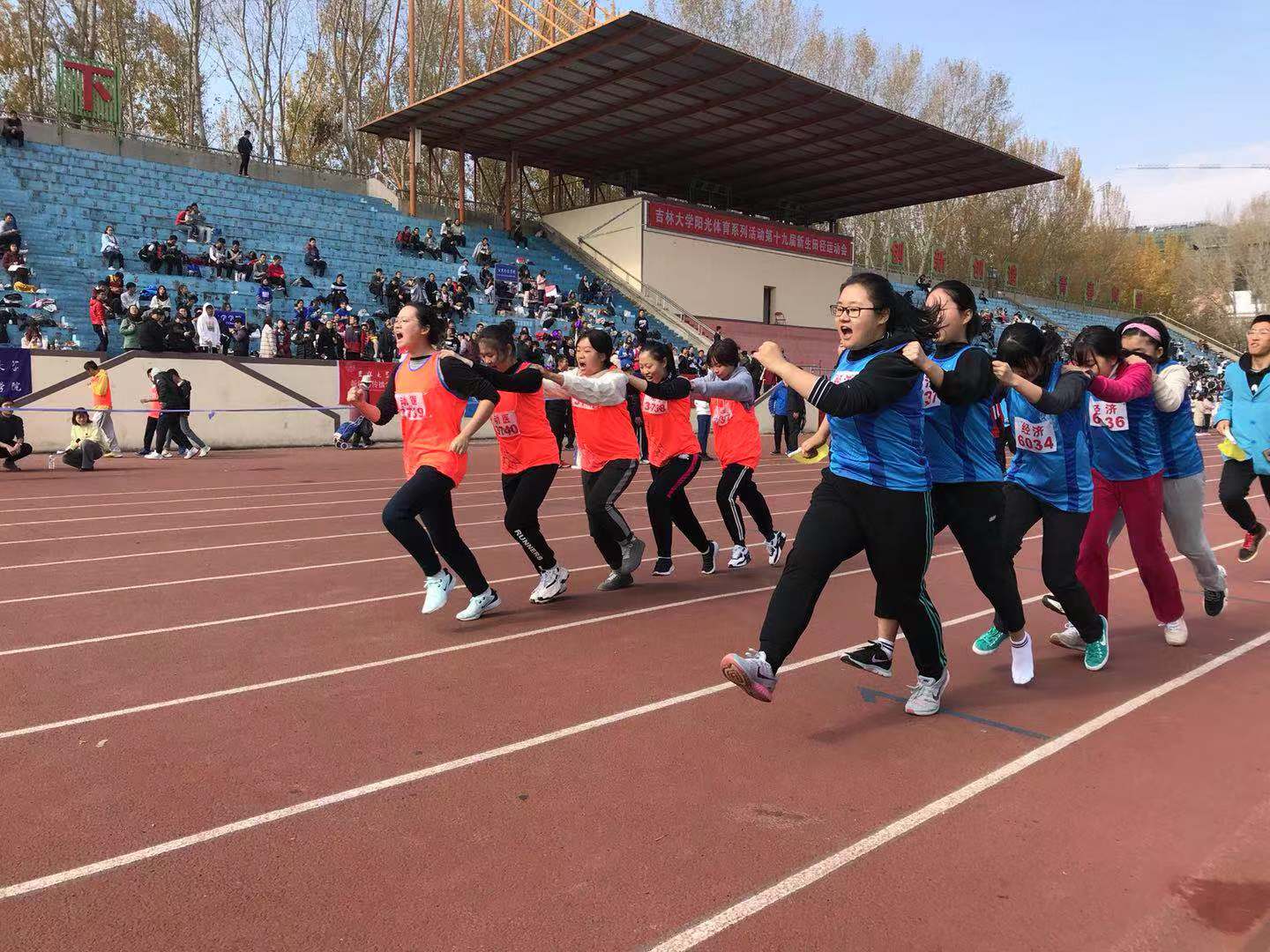 k1体育备用网址
